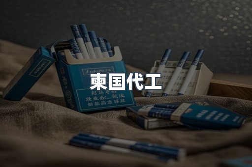 柬国代工